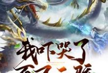我吓哭了百万天骄庄枫凌小皓刘天成,我吓哭了百万天骄章节在线阅读-艾米文学
