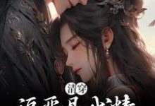婉卿胤禛小说在哪里可以看-艾米文学