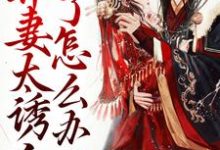 带球跑：弃妻太诱人了怎么办小说的最新章节在哪里更新？免费追踪阅读-艾米文学