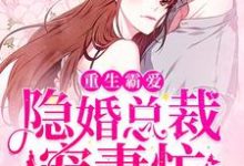 重生霸爱:隐婚总裁宠妻忙这本小说怎么样?免费在线阅读试试-艾米文学