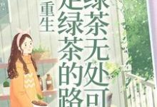 重生:走绿茶的路让绿茶无处可走小说的无弹窗阅读体验,寻找免费阅读网站-艾米文学