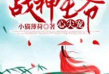 盛宁安叶墨沉盛婉柔叶琅笙是哪本书的主角?重生后成了战神王爷心尖宠免费读-艾米文学