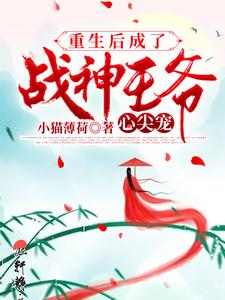 盛宁安叶墨沉盛婉柔叶琅笙是哪本书的主角？重生后成了战神王爷心尖宠免费读
