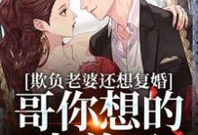 求欺负老婆还想复婚,哥你想的太美了小说的全文免费阅读链接-艾米文学