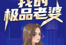 我的极品老婆免费阅读，我的极品老婆章节目录-艾米文学