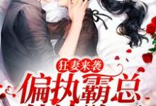 狂妻来袭,偏执霸总他沦陷了小说的免费阅读版本在哪里可以找到?-艾米文学
