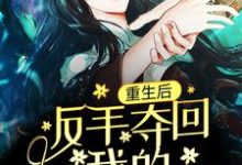 重生后，反手夺回我的贵人命格小说阅读，重生后，反手夺回我的贵人命格完结版-艾米文学