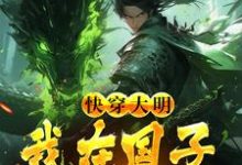 沈飞朱元璋小说《快穿大明：我在国子监当博士》在线阅读-艾米文学
