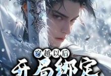完结版《穿越以后，开局绑定反派系统》章节目录在线阅读-艾米文学
