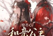 《撩君心:和亲公主不好惹》全集免费在线阅读(苏昀商柔)-艾米文学
