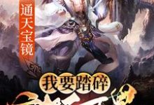 男女主人公秦臻苏清小说通天宝镜：我要踏碎诸天万界章节免费阅读-艾米文学