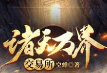寻找能够免费阅读诸天万界交易所小说的平台-艾米文学