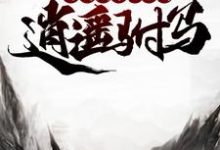 开局县令，成为逍遥驸马小说无弹窗阅读的网站推荐-艾米文学