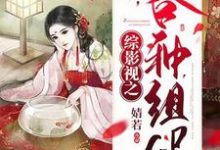 苏暖周少朴为主角的小说好看吗？免费读综影视之各种组cp-艾米文学