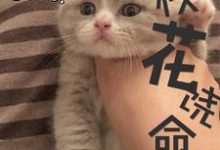 校花饶命小说有没有完结版在线？-艾米文学