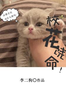 校花饶命小说有没有完结版在线？