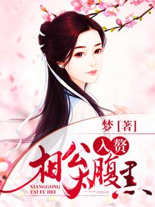 入赘相公太腹黑小说，入赘相公太腹黑免费阅读