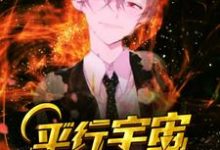 《平行宇宙诛杀系统》小说章节列表免费试读，杨超安又琳刘美玉小说在线阅读-艾米文学