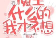 魔王什么的我才不想当陈清琳儿,魔王什么的我才不想当章节在线阅读-艾米文学