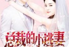 总裁的小逃妻小说全文哪里可以免费看？-艾米文学