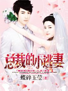 哪里能找到总裁的小逃妻小说的最新更新和免费章节？