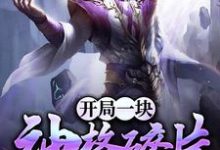 完结版《开局一块神格碎片》章节阅读-艾米文学