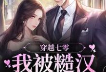 穿越七零,我被糙汉军官宠上天这本小说在哪里可以看?哪里有免费试读章节?-艾米文学