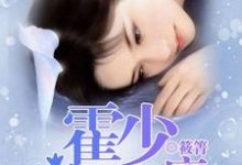主角盛如珠霍泽小说完结版在线阅读,霍少宠妻上瘾免费看-艾米文学