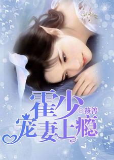主角盛如珠霍泽小说完结版在线阅读，霍少宠妻上瘾免费看