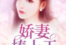 完整版的娇妻捧上天小说在哪里可以免费读到？-艾米文学