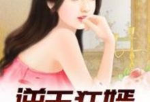 逆天狂婿（龙王殿）小说有没有完结版在线？-艾米文学