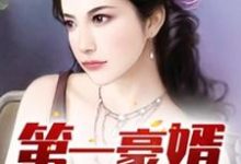 第一豪婿陆铭时灵云宁彩华小说大结局免费试读-艾米文学