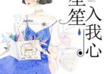 已完结小说《笙笙入我心》章节在线阅读-艾米文学