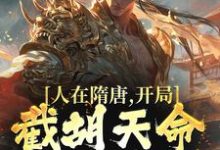 人在隋唐,开局截胡天命气运女主小说无弹窗阅读的网站推荐-艾米文学