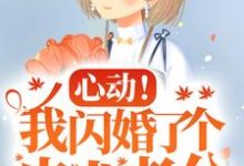 在线寻找心动！我闪婚了个忠犬老公小说的无删减版本-艾米文学