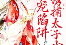 甜宠陷阱：诱捕太子攻略这本小说怎么样？免费在线阅读试试-艾米文学