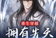 重生穿越：拥有先天纯阳体质林棋赢天凤，重生穿越：拥有先天纯阳体质最新章节-艾米文学