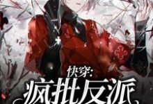 主人公叫陆离乔宸枫的小说哪里免费看-艾米文学