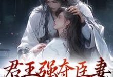 在线寻找君王强夺臣妻，只为惊鸿一面小说的无删减版本-艾米文学