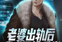 免费阅读王宇为主角的小说，老婆出轨后，我成了抢手货在线看-艾米文学