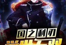 国之利刃：举世无双叶天小说在线章节免费阅读-艾米文学