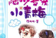 完结版《陆少专宠小青梅》免费阅读-艾米文学