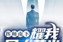 挥师南下，耀我军人荣光小说阅读，挥师南下，耀我军人荣光完结版-艾米文学