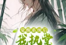 《觉醒系统后，我执掌生死簿无敌了》全集免费在线阅读（张道临）-艾米文学