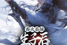 香火系统：生子后，我直接无敌小说全文阅读需要付费吗？寻找免费资源-艾米文学
