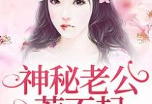 神秘老公惹不起小说，神秘老公惹不起免费阅读-艾米文学