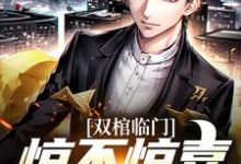完结版《双棺临门？惊不惊喜意不意外》章节阅读-艾米文学