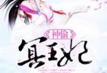 完结版《神偷冥王妃》免费阅读-艾米文学