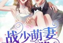 已完结小说《战少萌妻从天降》章节免费阅读-艾米文学