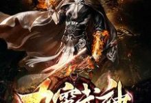 免费在线阅读九霄武神小说的正规网站有哪些？-艾米文学